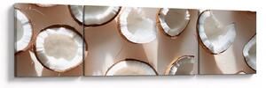 Obraz - Kokosy (170x50 cm)