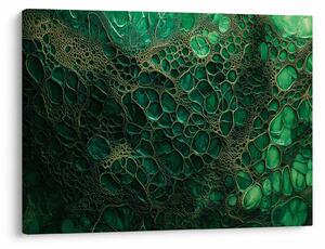 Obraz - Zielony mikroskopowy obraz (70x50 cm)
