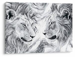 Obraz - Rysowane lwie głowy (70x50 cm)