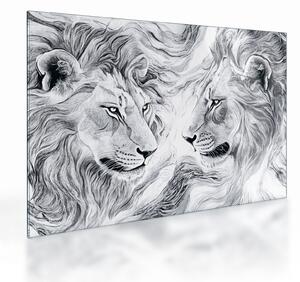 Obraz na szkle - Rysowane lwie głowy (70x50 cm)