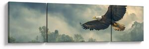 Obraz - Lecący orzeł (170x50 cm)