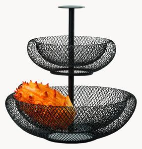 Patera Mesh