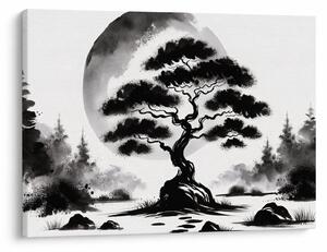 Obraz – Czarno-biały bonsai (70x50 cm)