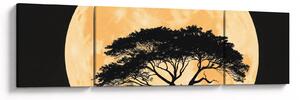 Obraz – Drzewo w złotej pełni księżyca II. (170x50 cm)