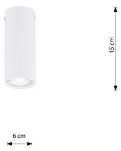 Lampa sufitowa TECNO 1S WHITE nowoczesna, spot, biała