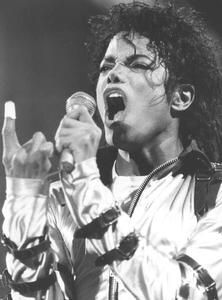 Fotografia Michael Jackson The King of Pop', 