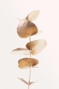 Ilustracja Eucalyptus Gold No 06, Studio Collection