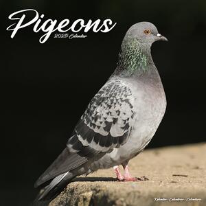 Kalendarz 2025 Pigeons