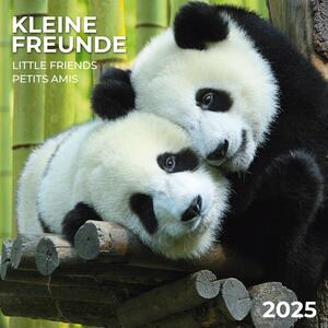 Kalendarz 2025 Little Friends