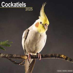 Kalendarz 2025 Cockatiels