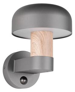 Zewnętrzna lampa ścienna (wysokość 24,5 cm) Fraser – Trio