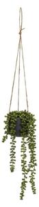 Sztuczna roślina (wysokość 37 cm) Senecio – Casa Selección