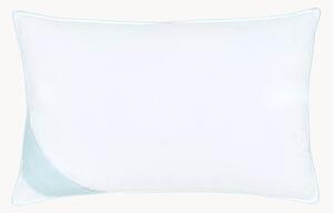 Poduszka z pierza Comfort, twarda
