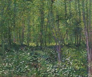 Reprodukcja Trees and Undergrowth 1887, Vincent van Gogh