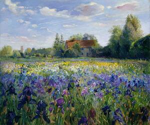 Reprodukcja Evening at the Iris Field, Timothy Easton