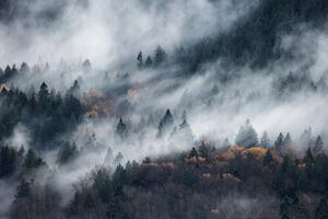 Fotografia A path of the fog, Tomomi Yamada