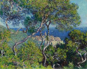 Reprodukcja Bordighera 1884, Claude Monet