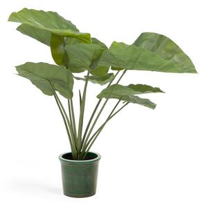 Sztuczna roślina (wysokość 57 cm) Odora – Kave Home