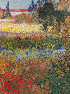 Reprodukcja Garden in Bloom Arles July 1888, Vincent van Gogh