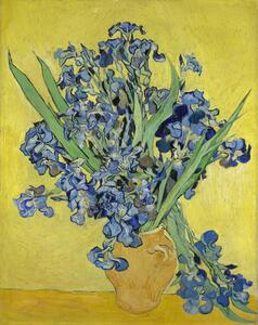 Reprodukcja Irises 1890, Vincent van Gogh