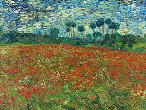 Reprodukcja Poppy Fields, Vincent van Gogh