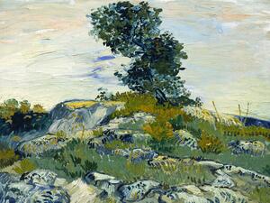 Reprodukcja The Rocks The Oak, Vincent van Gogh