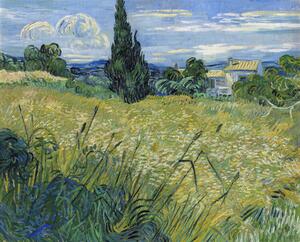 Reprodukcja Green Wheat Field with Cypress 1889, Vincent van Gogh