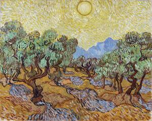 Reprodukcja Olive Trees 1889, Vincent van Gogh