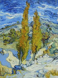 Reprodukcja The Poplars at Saint-r my 1889, Vincent van Gogh