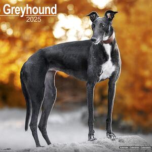 Kalendarz 2025 Greyhound