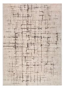 Kremowy dywan 80x120 cm Ceres – Universal