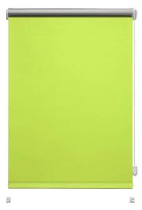 Jasnozielona roleta 42,5x150 cm Mini Termo – Gardinia