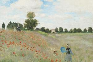 Reprodukcja Wild Poppies near Argenteuil 1873, Claude Monet