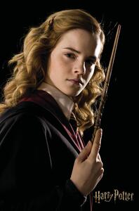 Druk artystyczny Harry Potter - Hermione Granger portrait