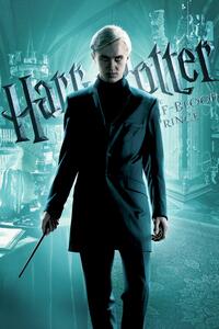 Druk artystyczny Harry Potter - Draco Malfoy