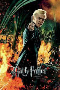 Druk artystyczny Harry Potter - Draco Malfoy