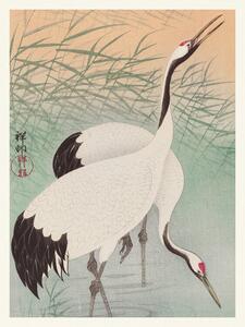 Reprodukcja Two Cranes, Ohara Koson