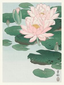 Reprodukcja Water Lily, Ohara Koson