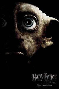 Druk artystyczny Harry Potter - Dobby