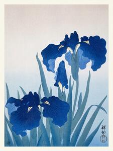 Reprodukcja Blue Iris Flowers, Ohara Koson