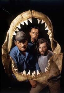 Fotografia Jaws 1975