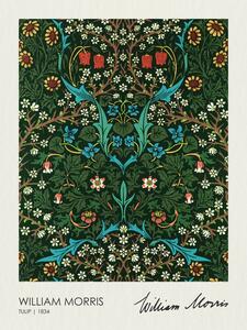 Reprodukcja Tulip Blackthorn 1834, William Morris