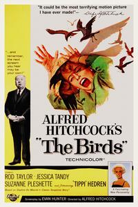 Ilustracja The Birds Alfred Hitchcock Tippi Hedren