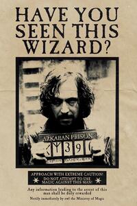 Druk artystyczny Harry Potter - Wanted Sirius Black