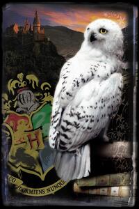 Druk artystyczny Harry Potter - Hedwig