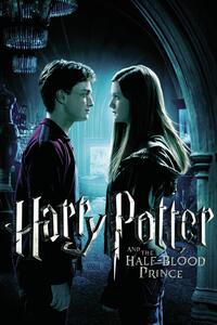 Druk artystyczny Harry Potter and The Half-Blood Prince - Ginny's Kiss