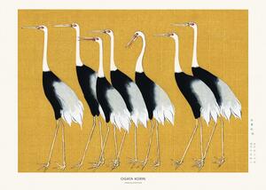 Reprodukcja Japanese Red Crown Crane, Studio Collection