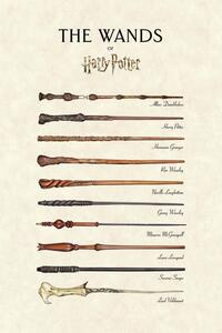 Druk artystyczny Harry Potter - The Wands