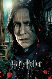 Druk artystyczny Harry Potter - Severus Snape