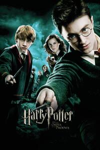 Druk artystyczny Harry Potter and The order of the Phoenix